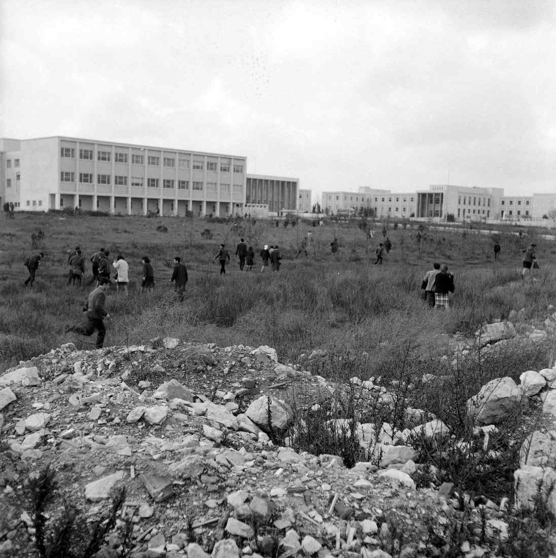 06895.001.029- pag.1