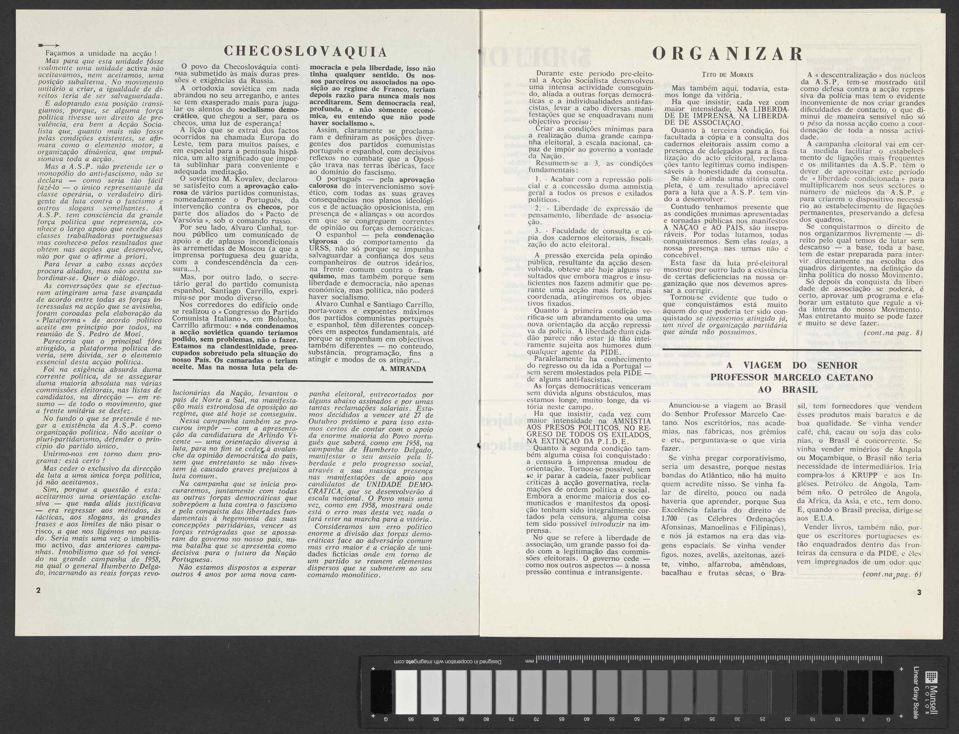 06899.021- pag.2