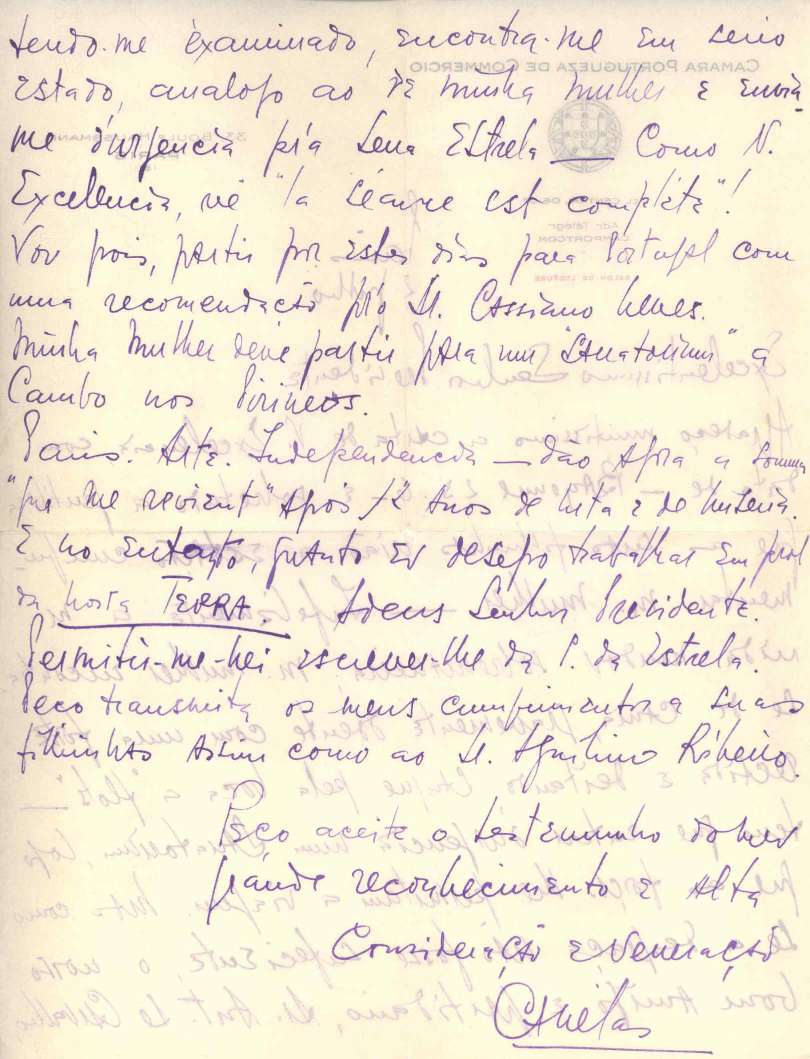 07015.038- pag.2