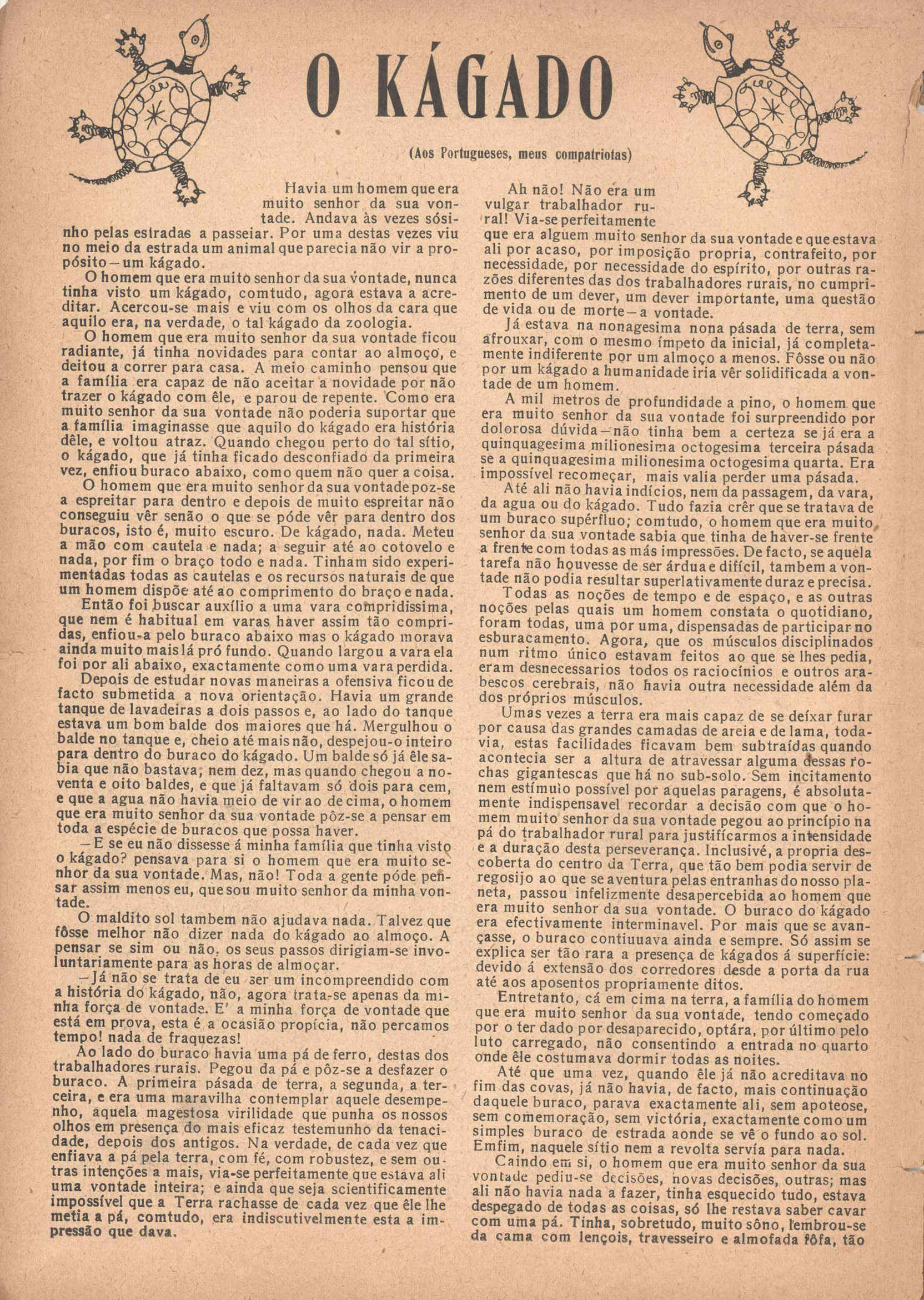 07025.029- pag.8