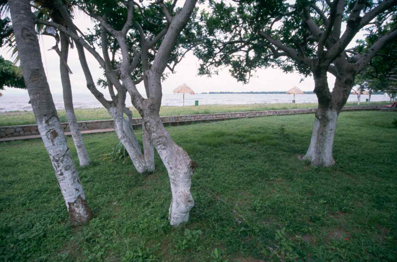 07322.010.005- pag.1