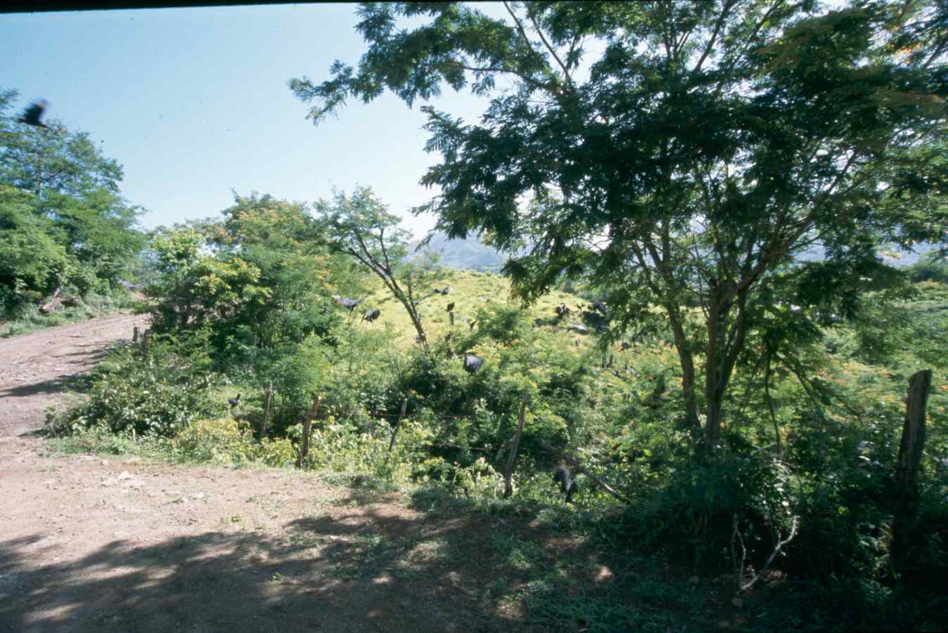 07322.056.005- pag.1
