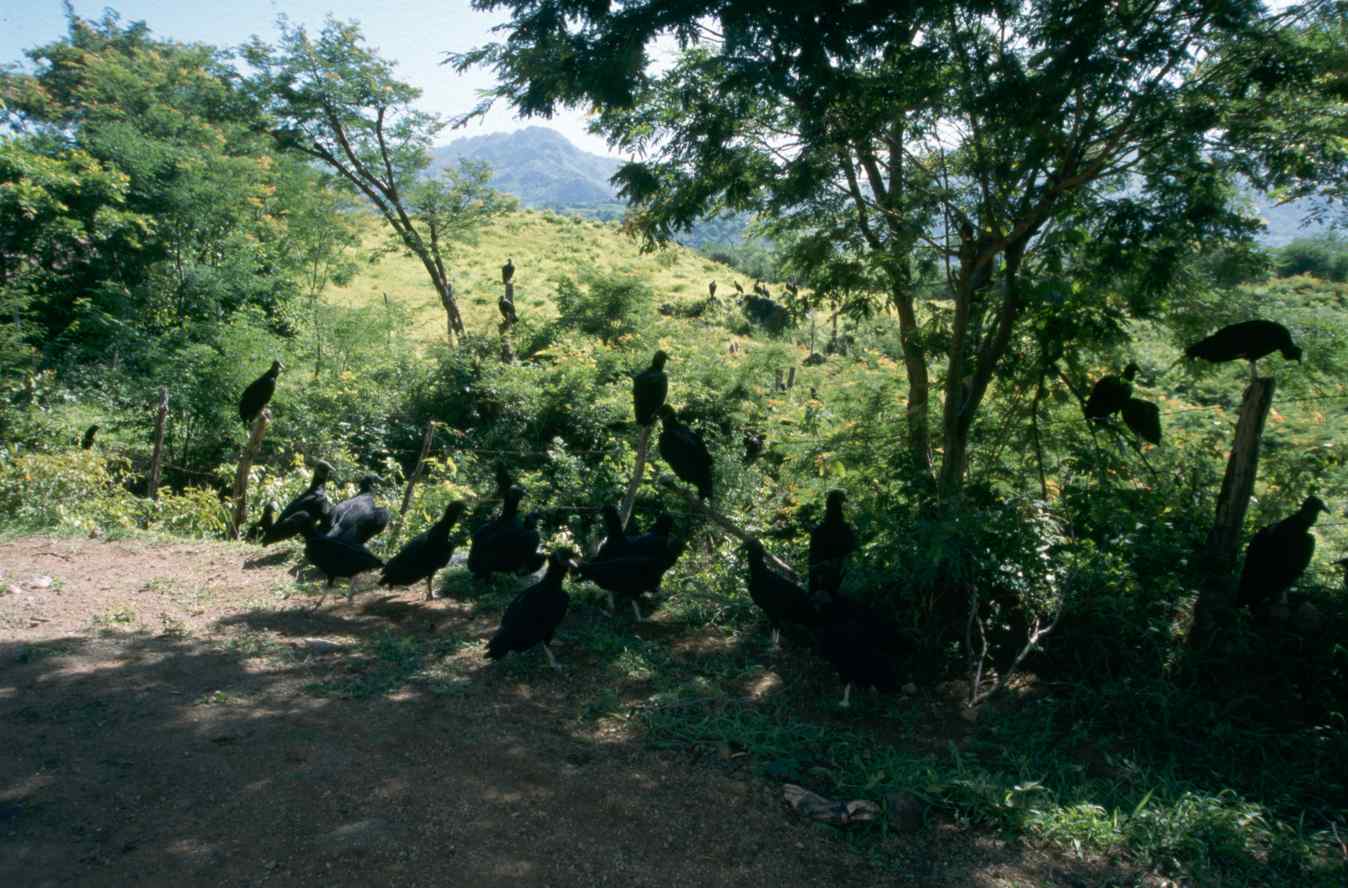 07322.056.006- pag.1
