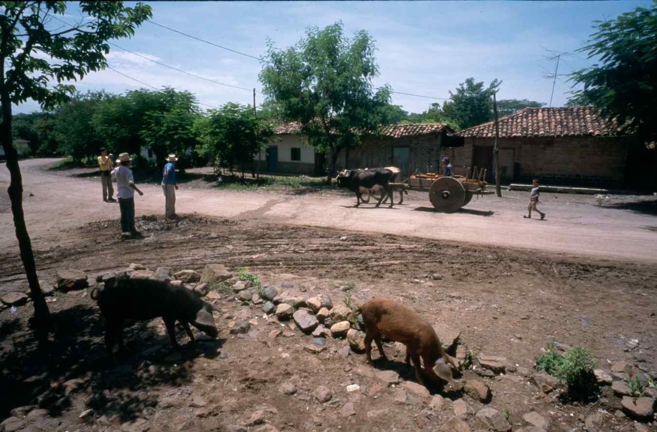 07322.057.007- pag.1