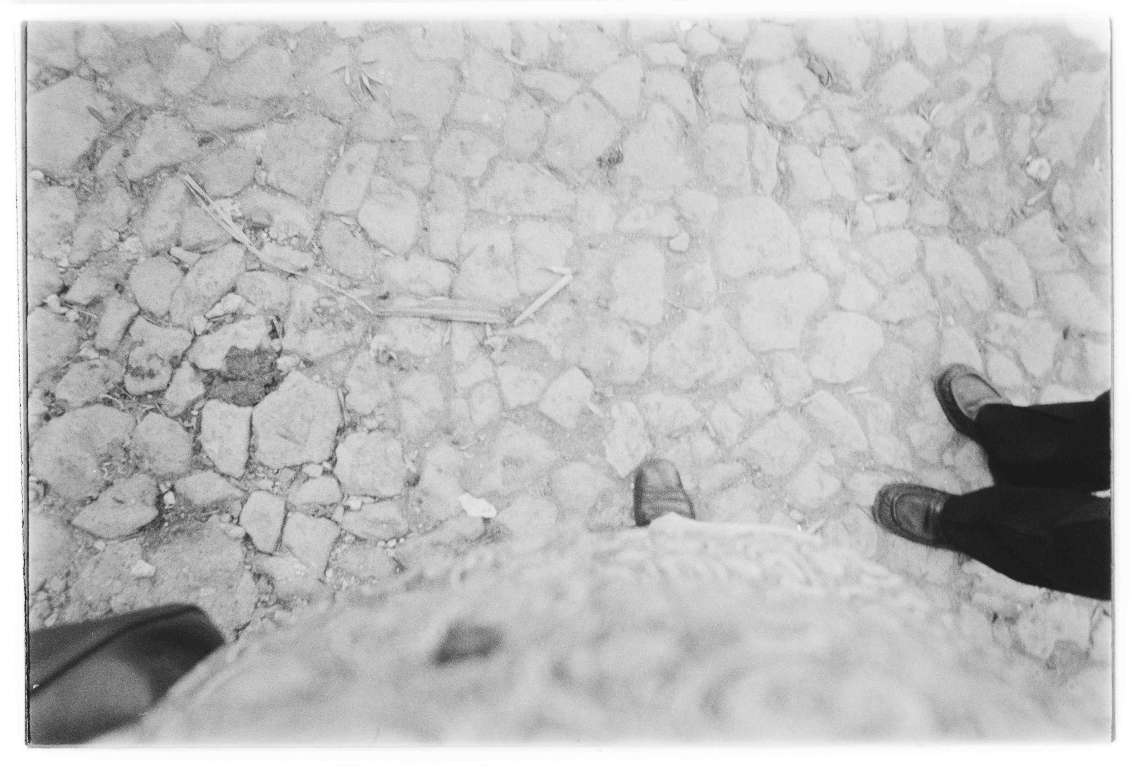 07337.046.031- pag.1