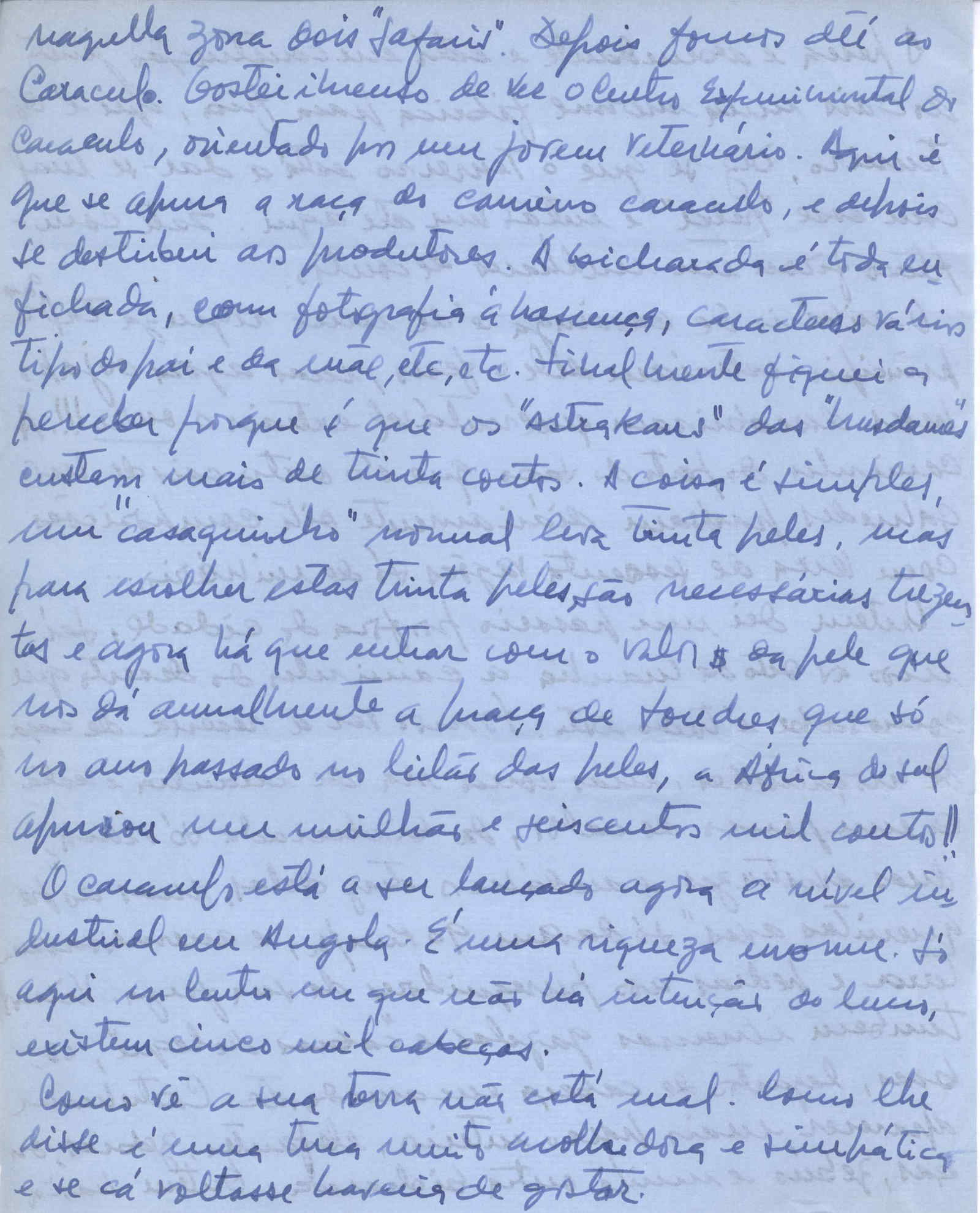 07396.021.003- pag.3