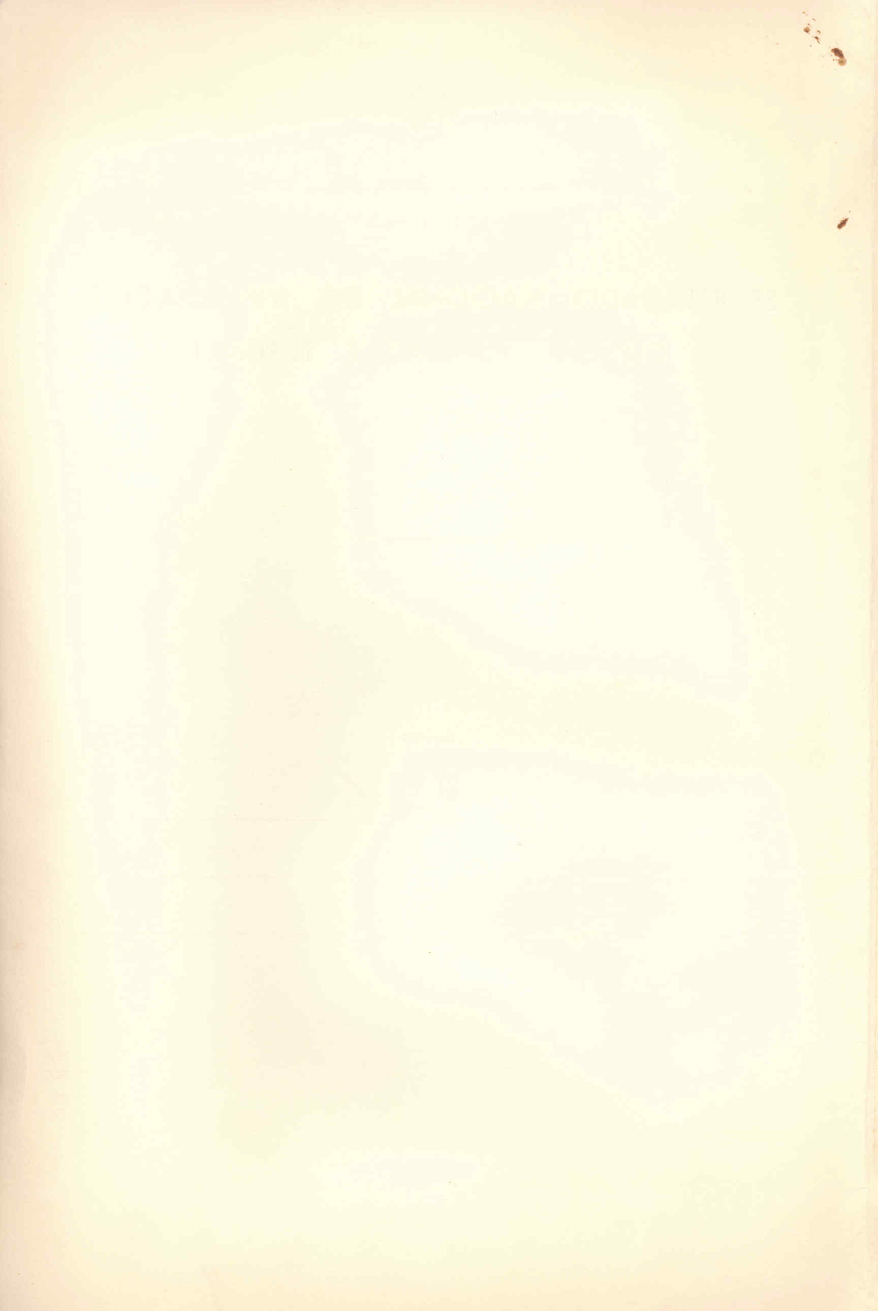 07420.034- pag.2