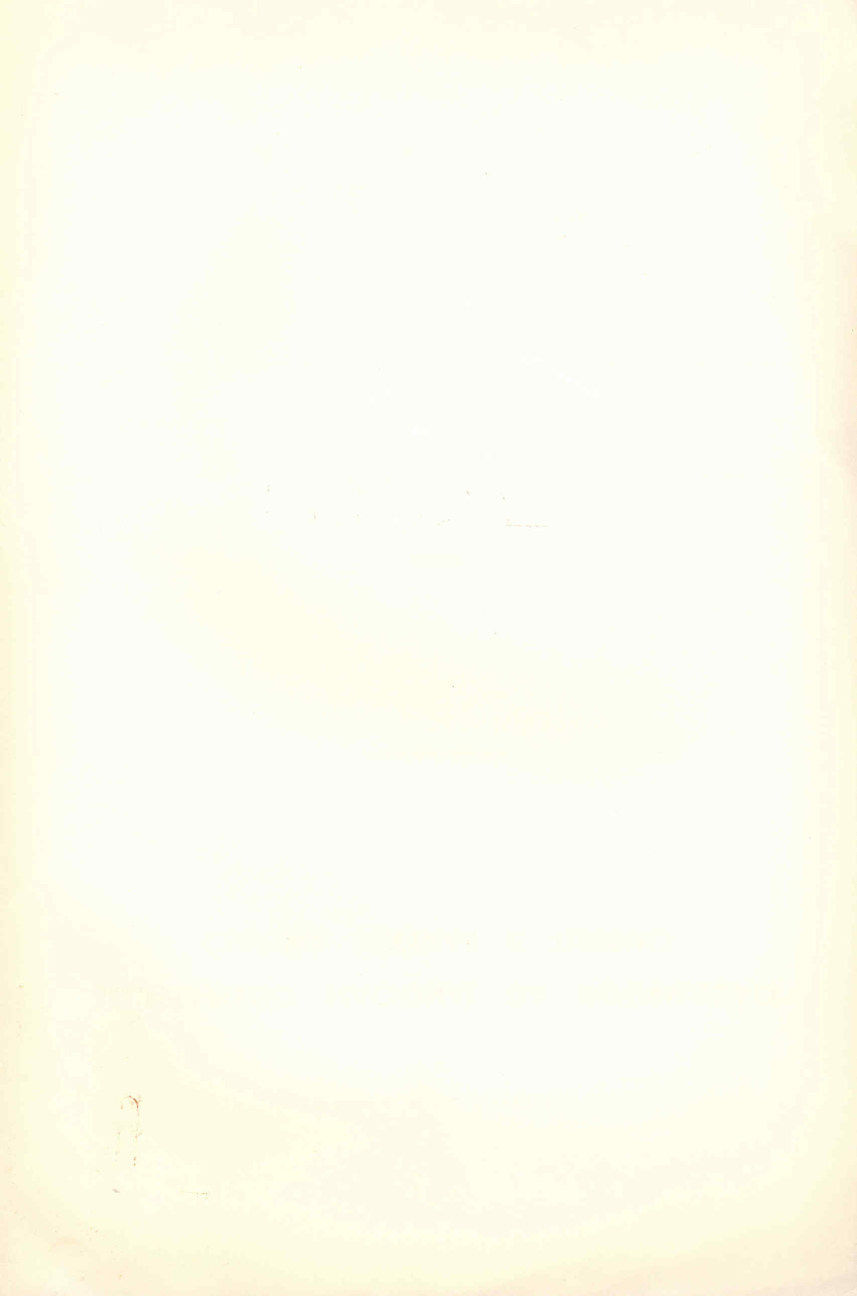 07421.010- pag.2