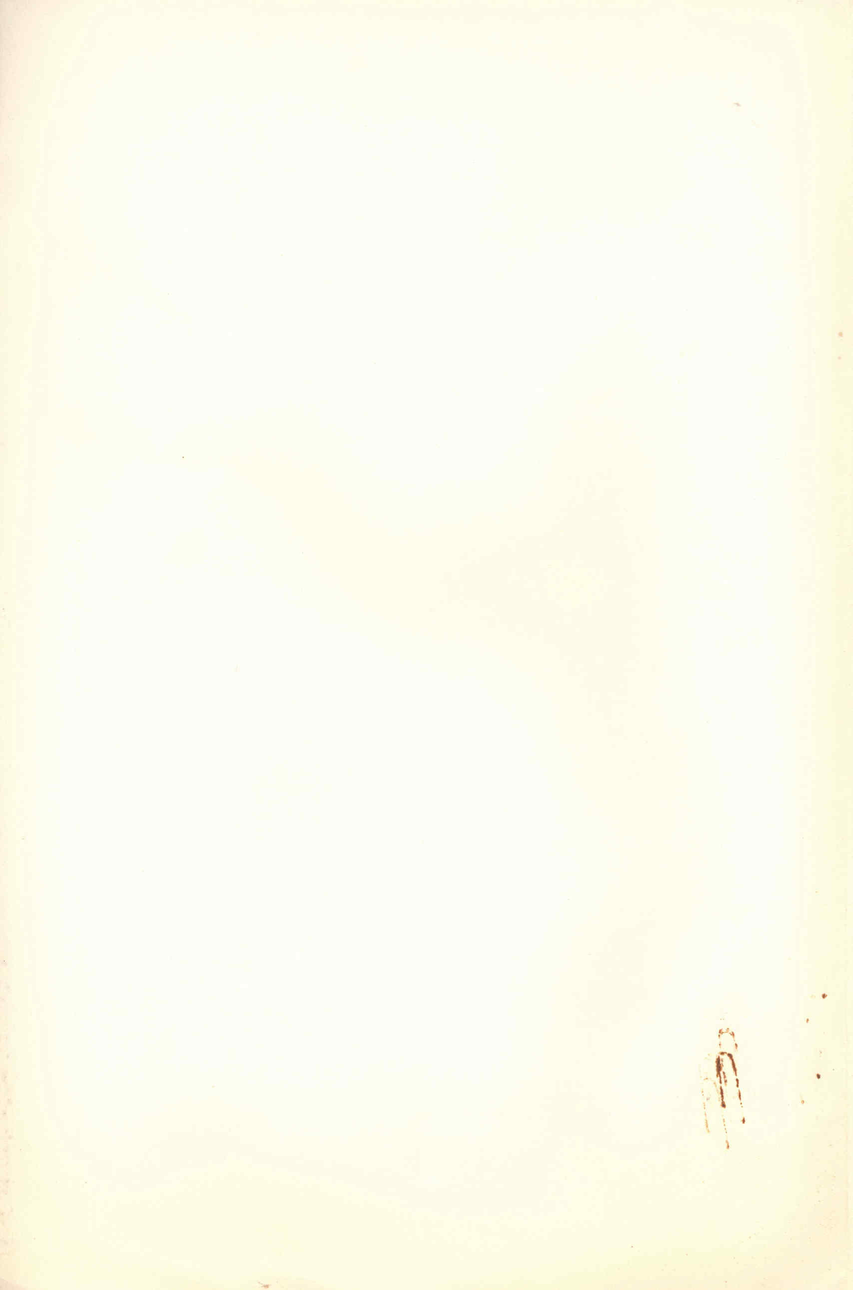 07421.010- pag.3