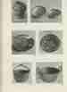 p. 256