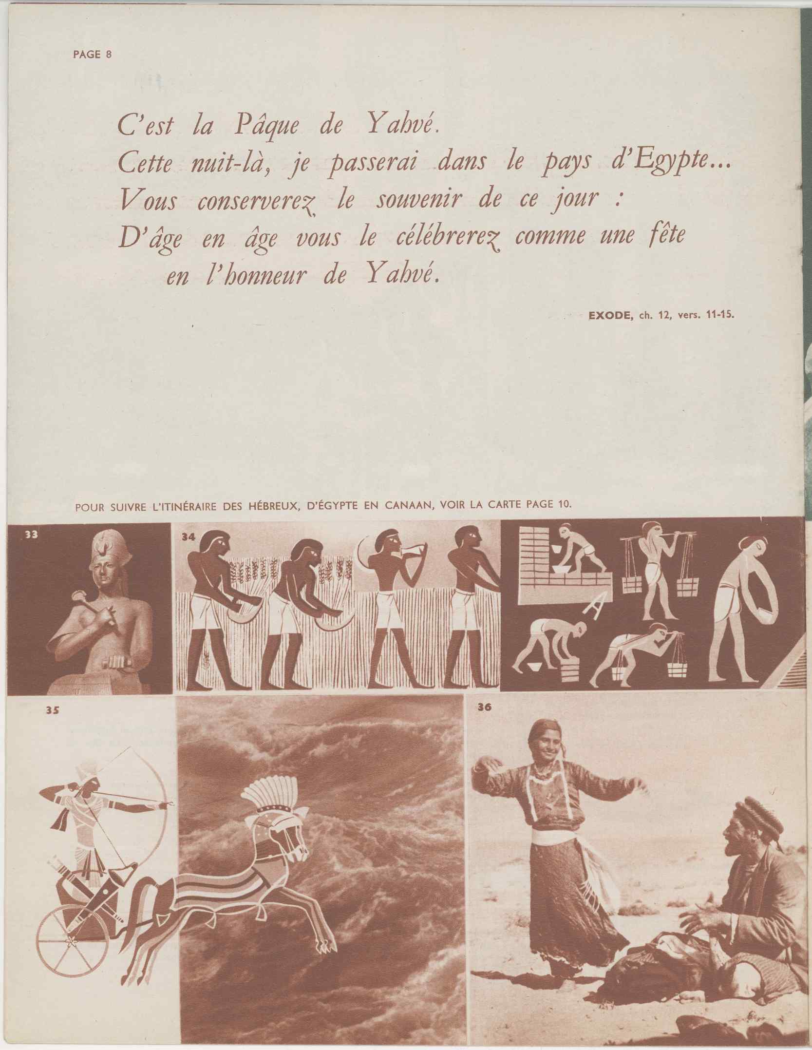 07482.010.001- pag.8