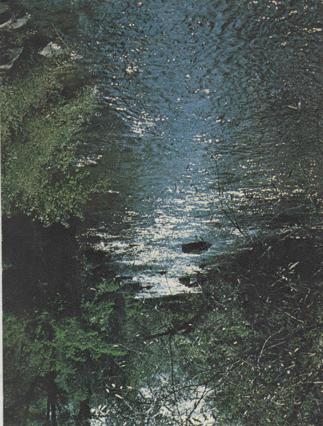 07497.025.001- pag.1