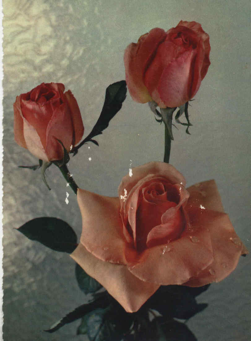 07497.074.001- pag.1