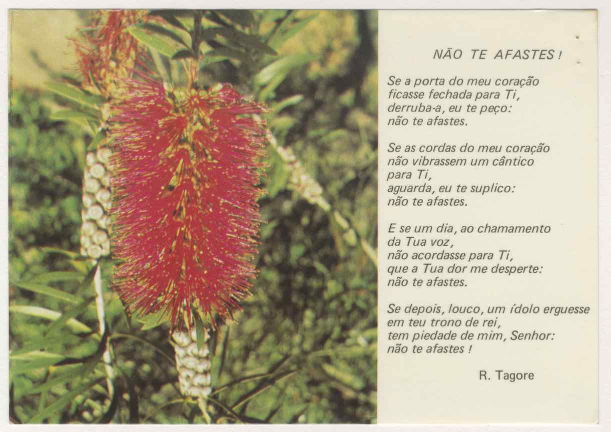 07520.035.001- pag.2