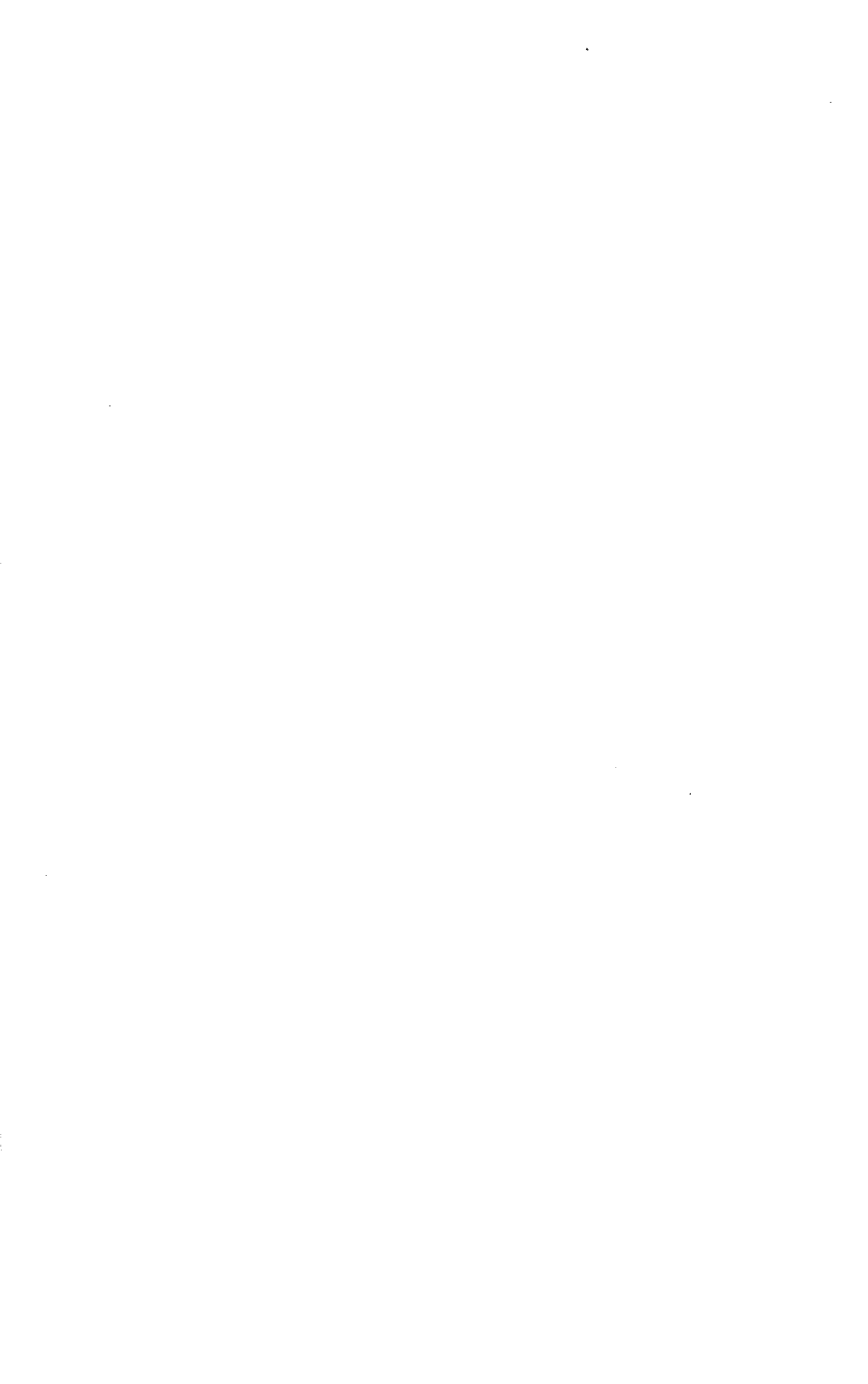 07709.001- pag.5