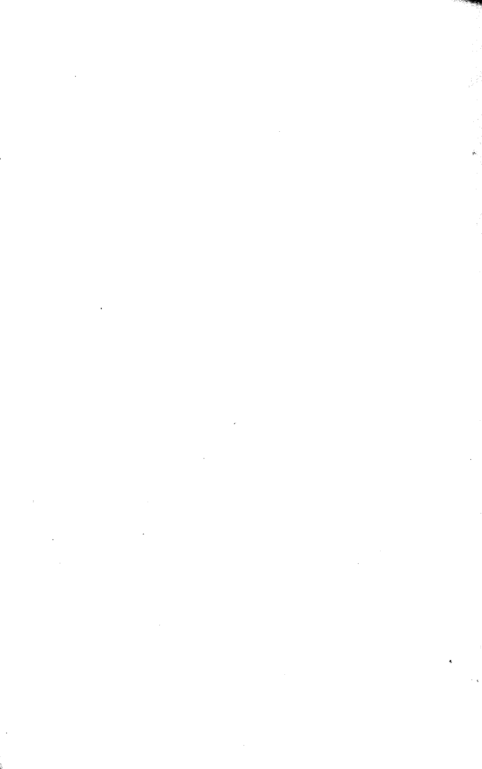 07709.001- pag.9