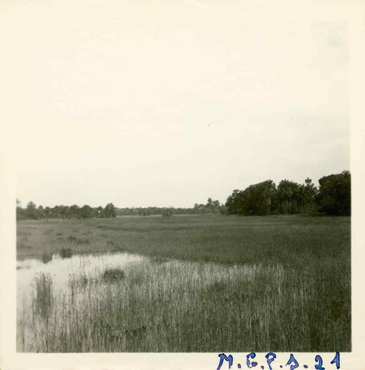 07932.004.006- pag.1