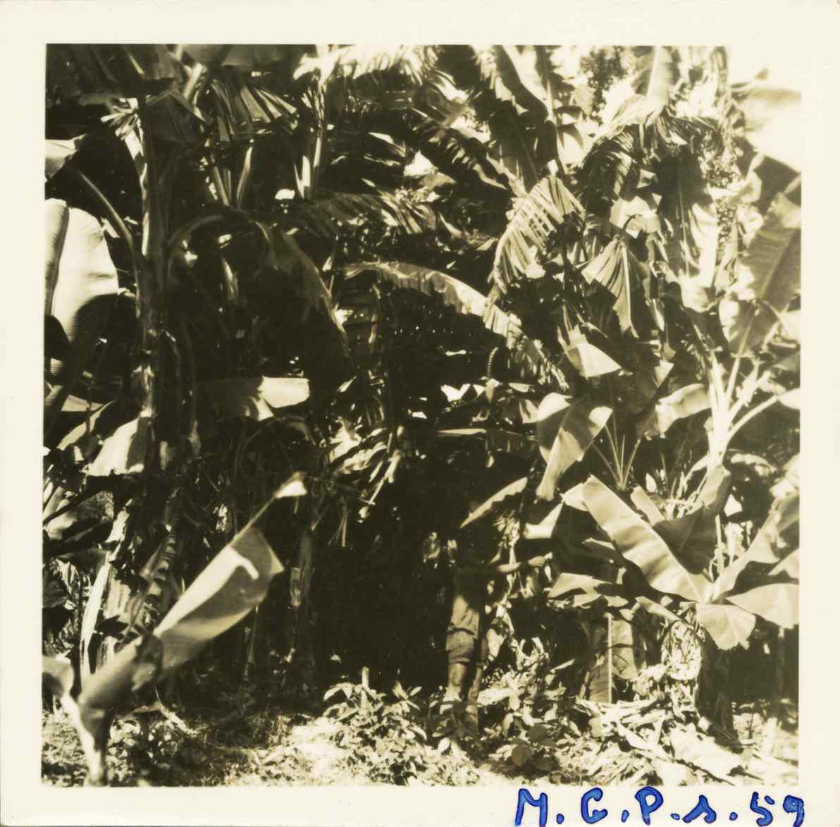 07932.004.024- pag.1