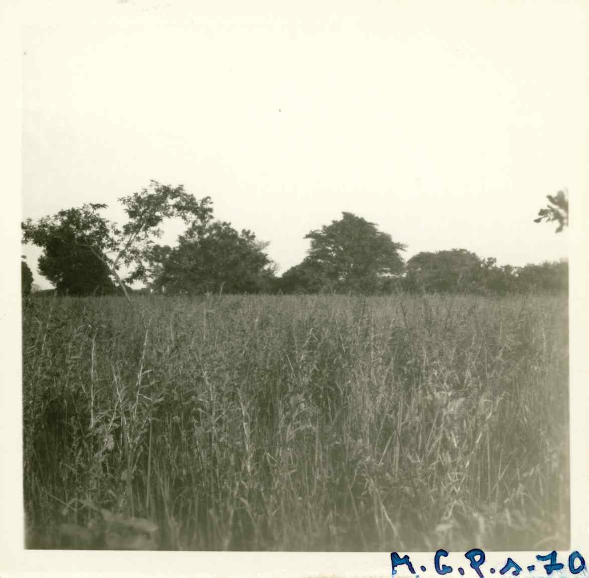 07932.004.033- pag.1