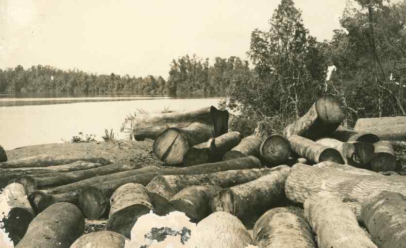 07932.006.007- pag.1