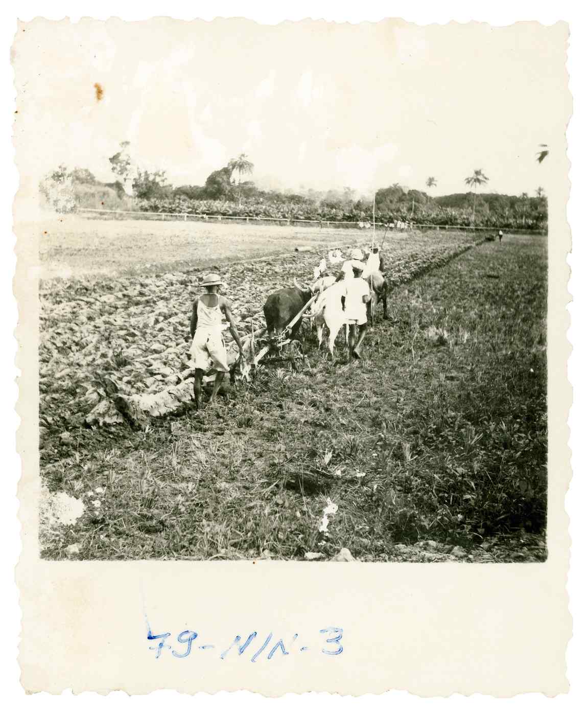 07932.011.007- pag.1