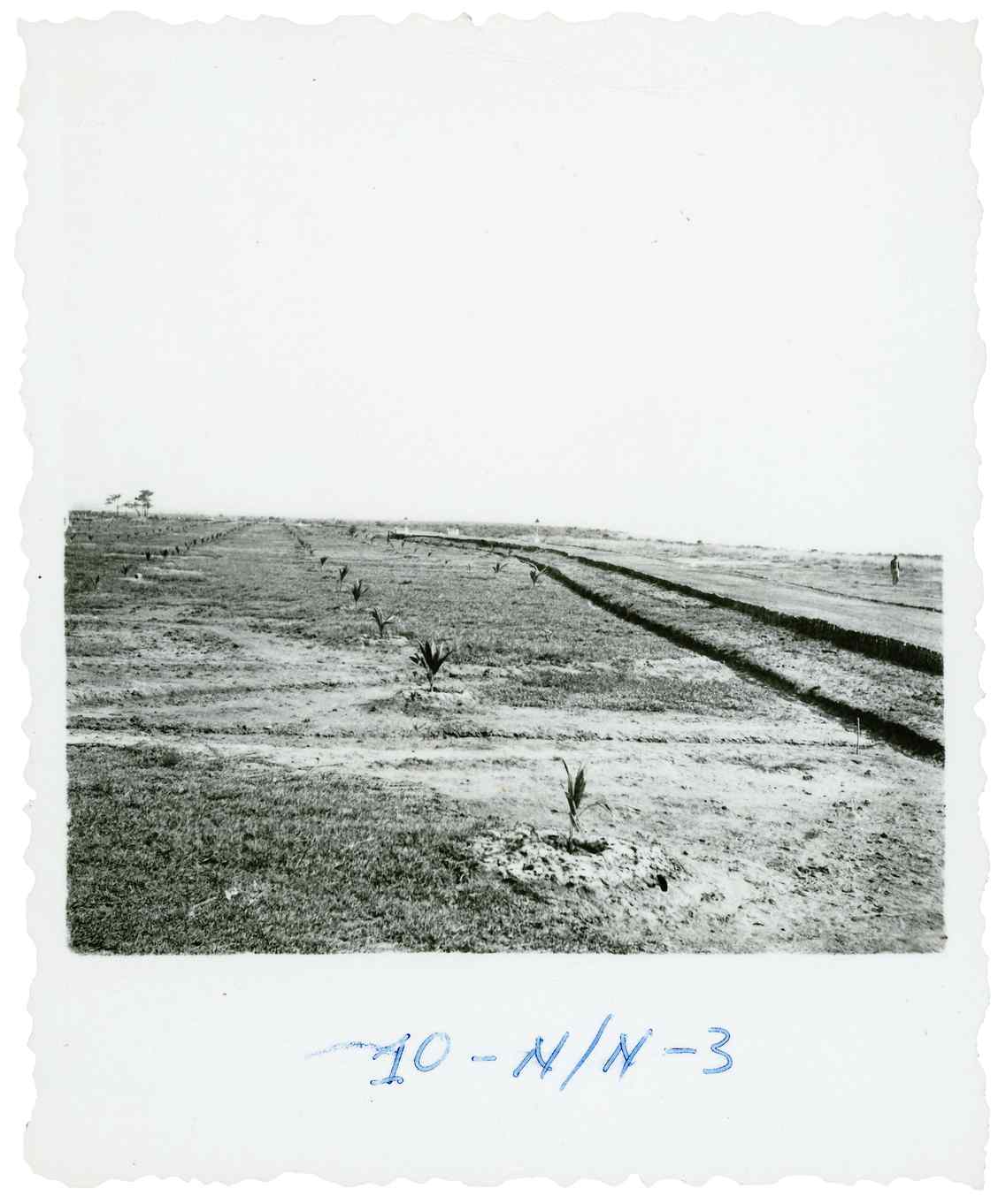 07932.017.010- pag.1