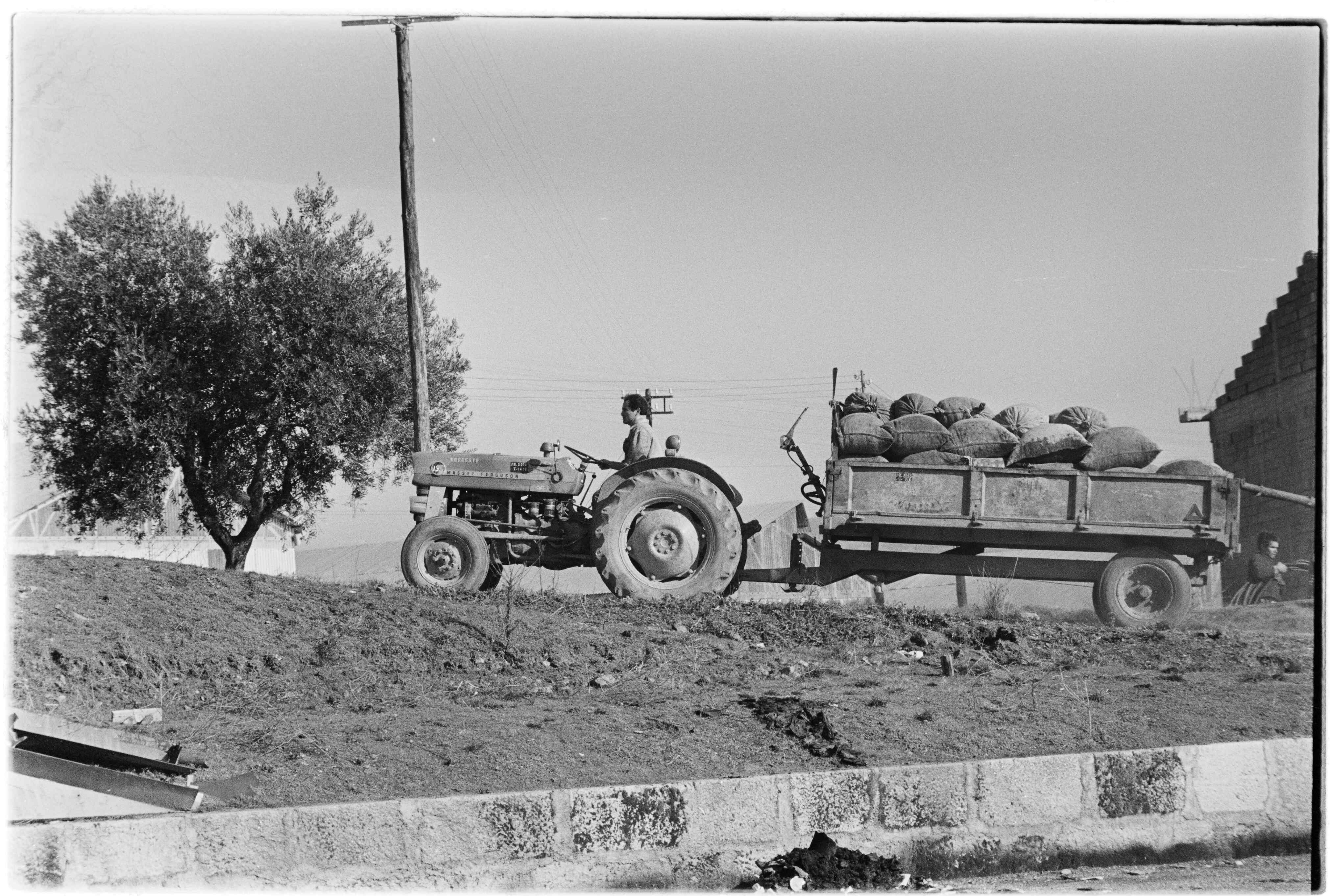 07993.011.195- pag.1