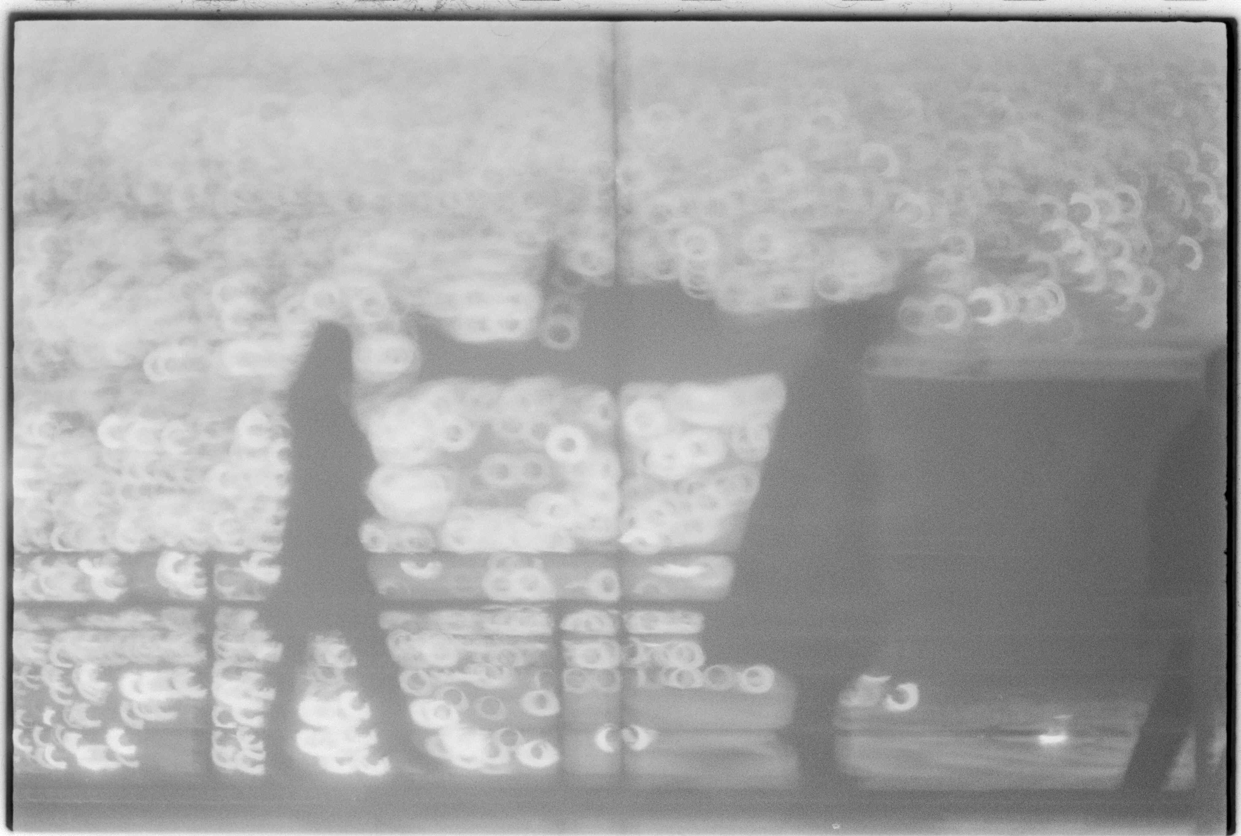 07993.011.387- pag.1