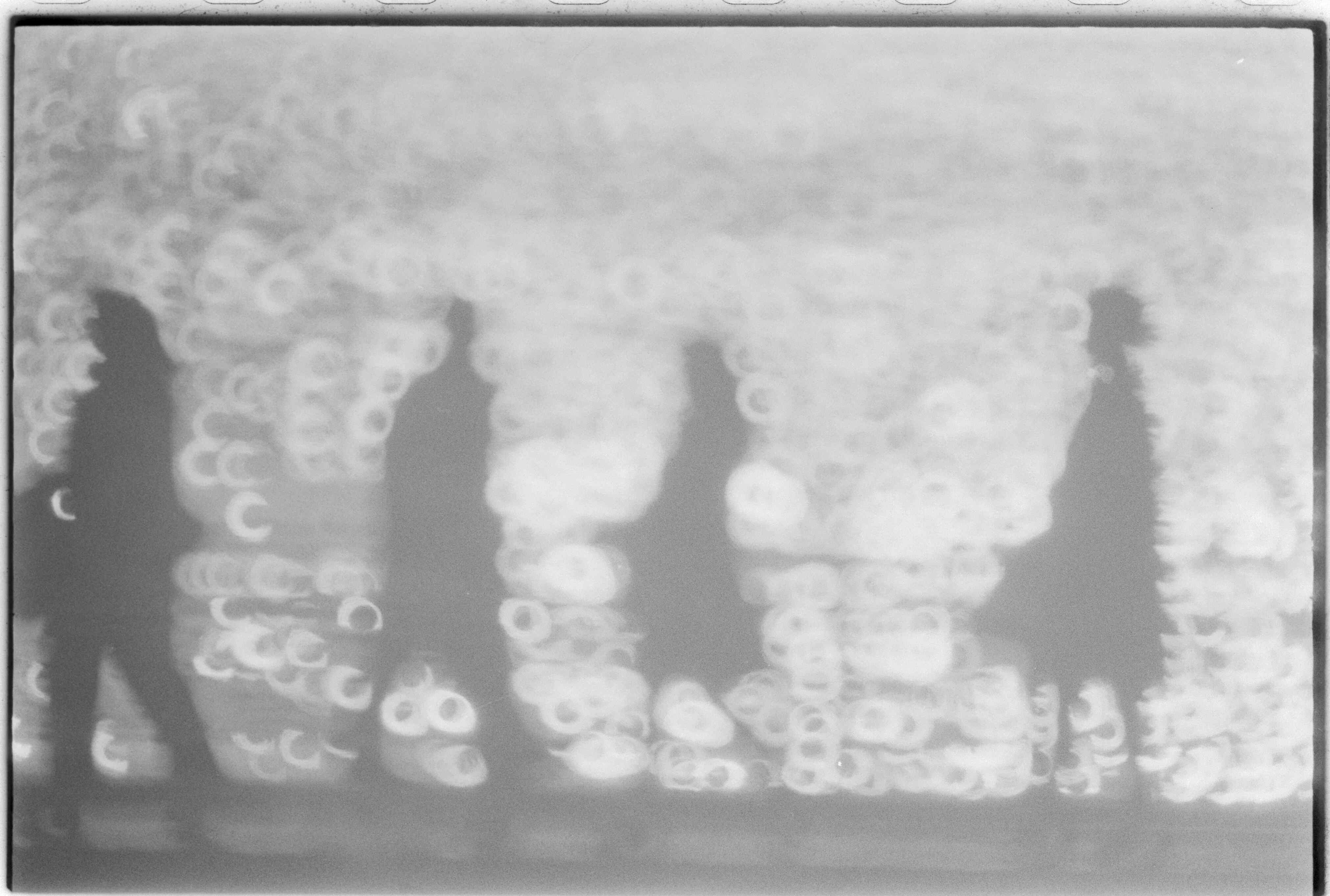 07993.011.388- pag.1