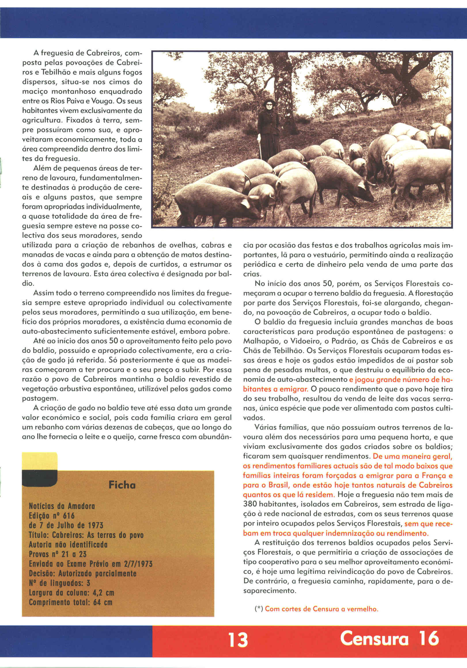 08066.029- pag.13