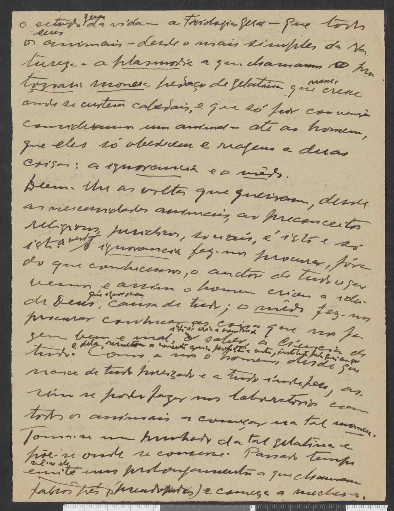 09509.005.009- pag.3