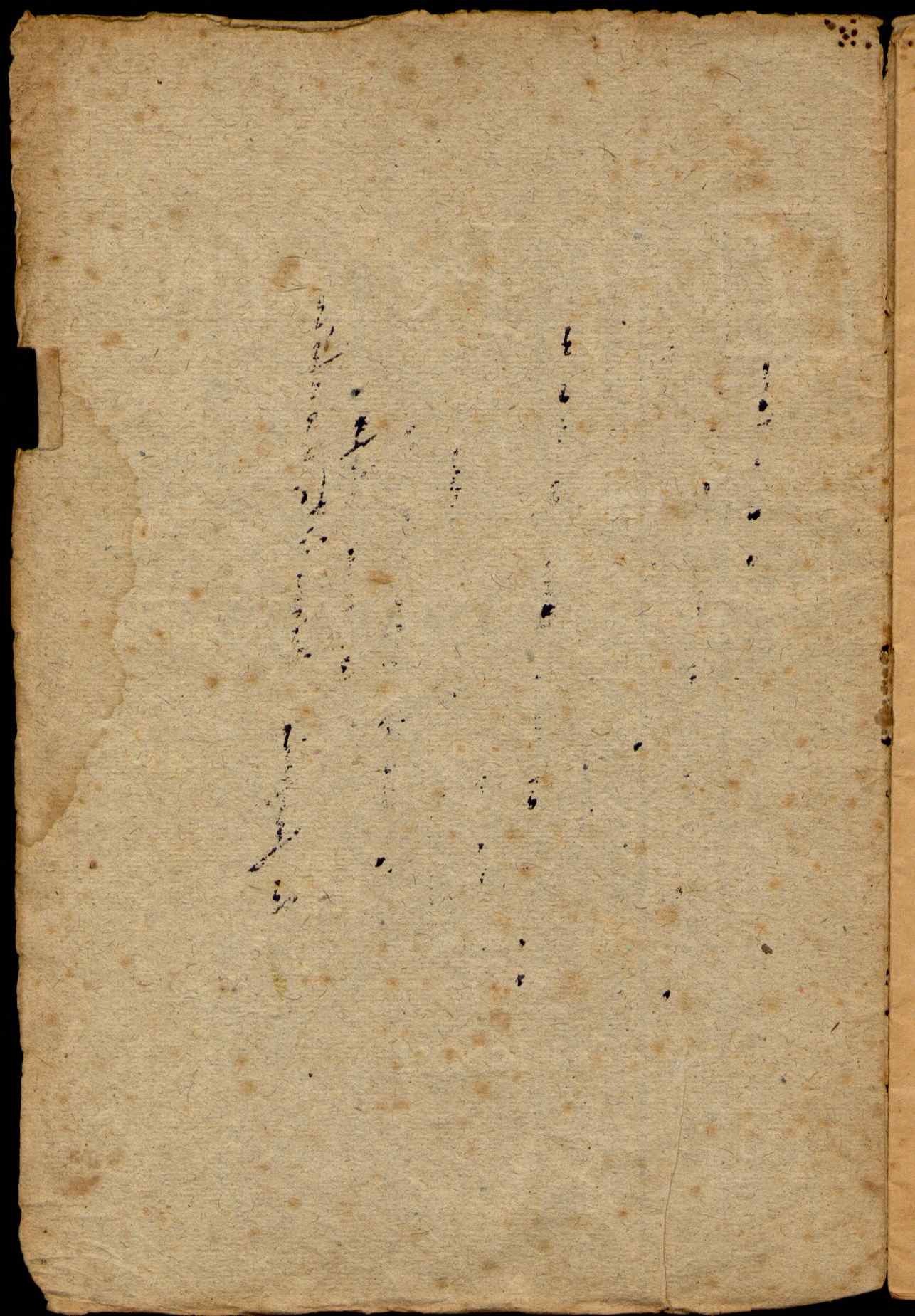 09816.018- pag.2