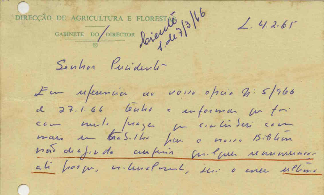 09865.007- pag.5