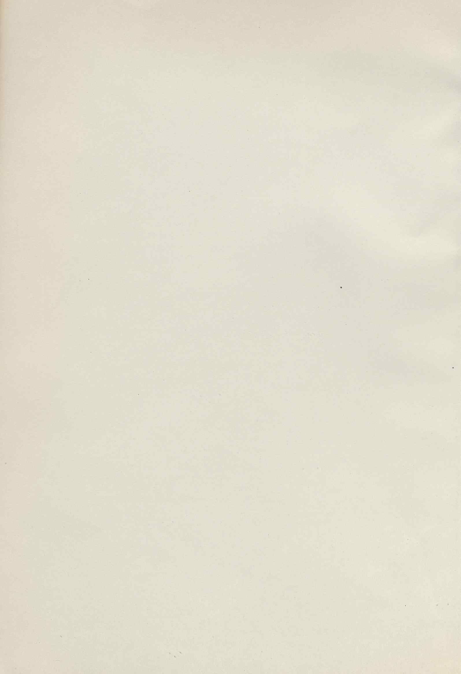 10197.009.001- pag.2