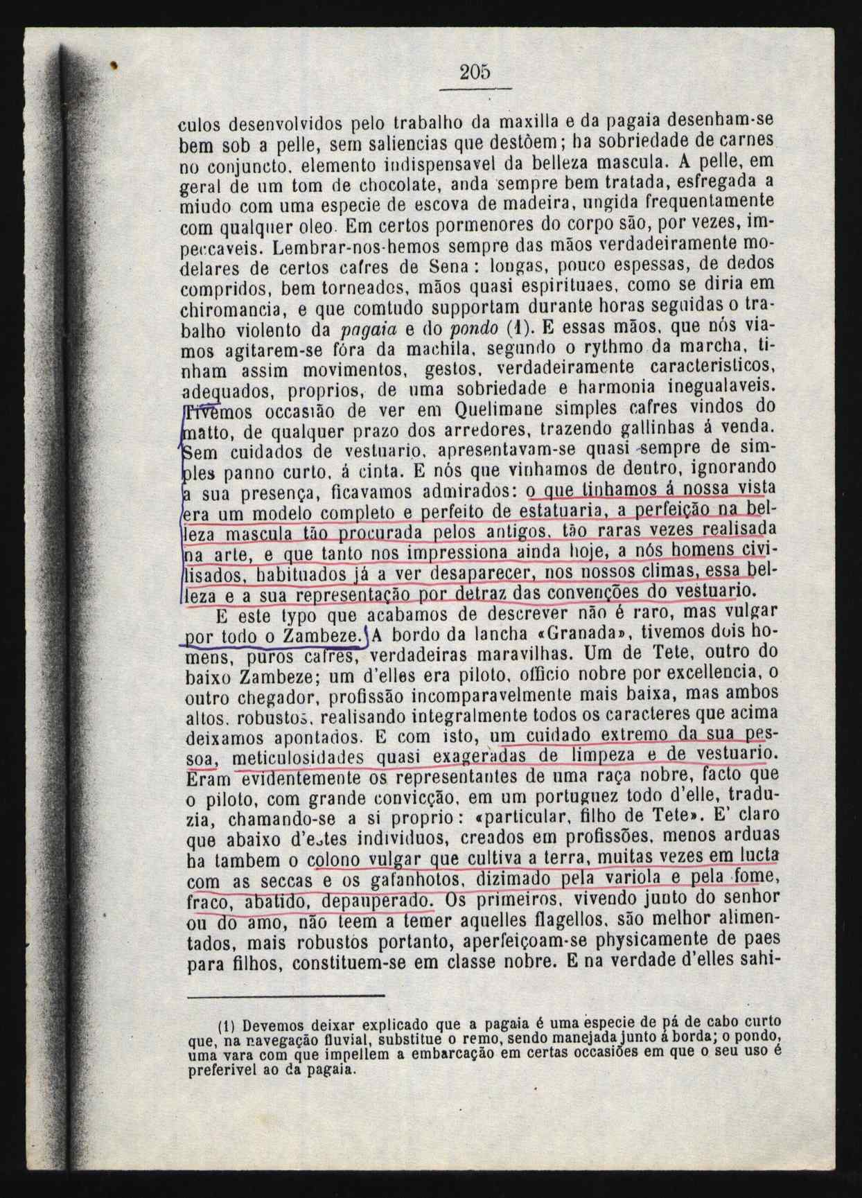 10462.017- pag.3