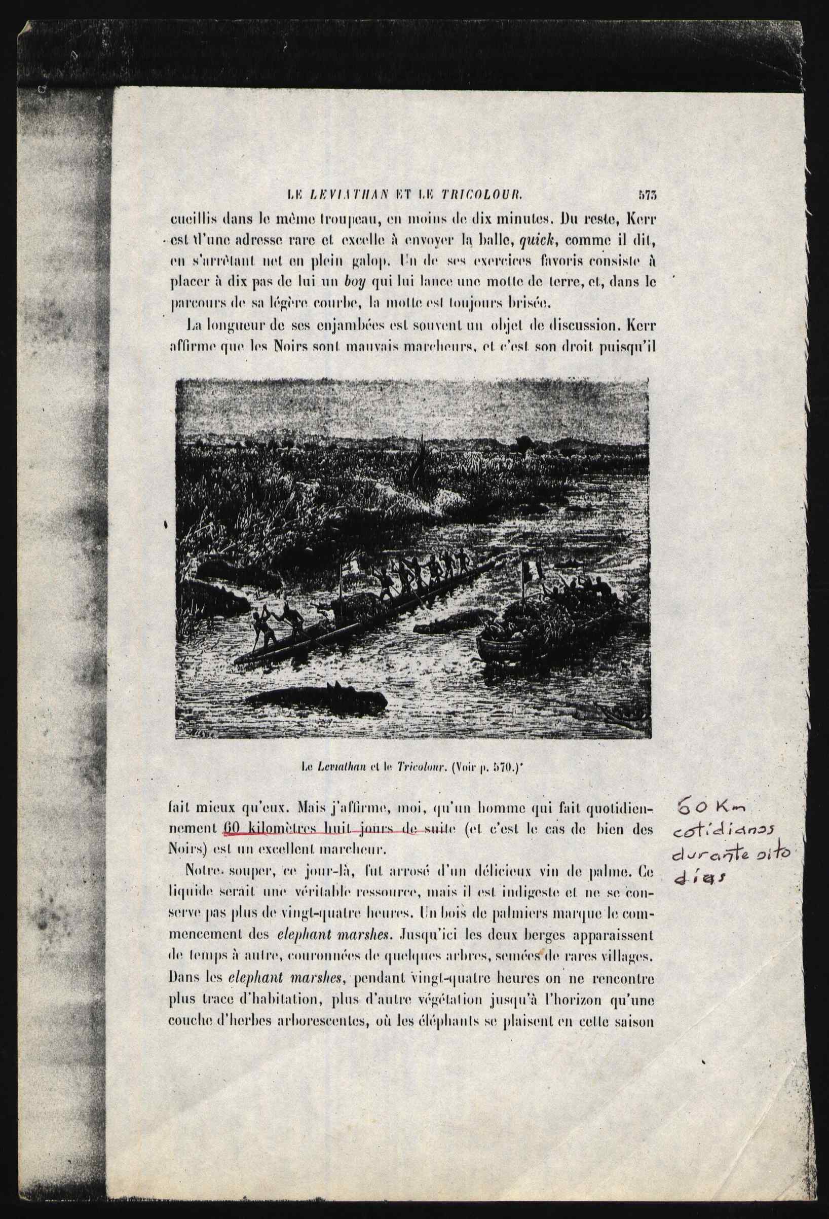 10464.008- pag.3