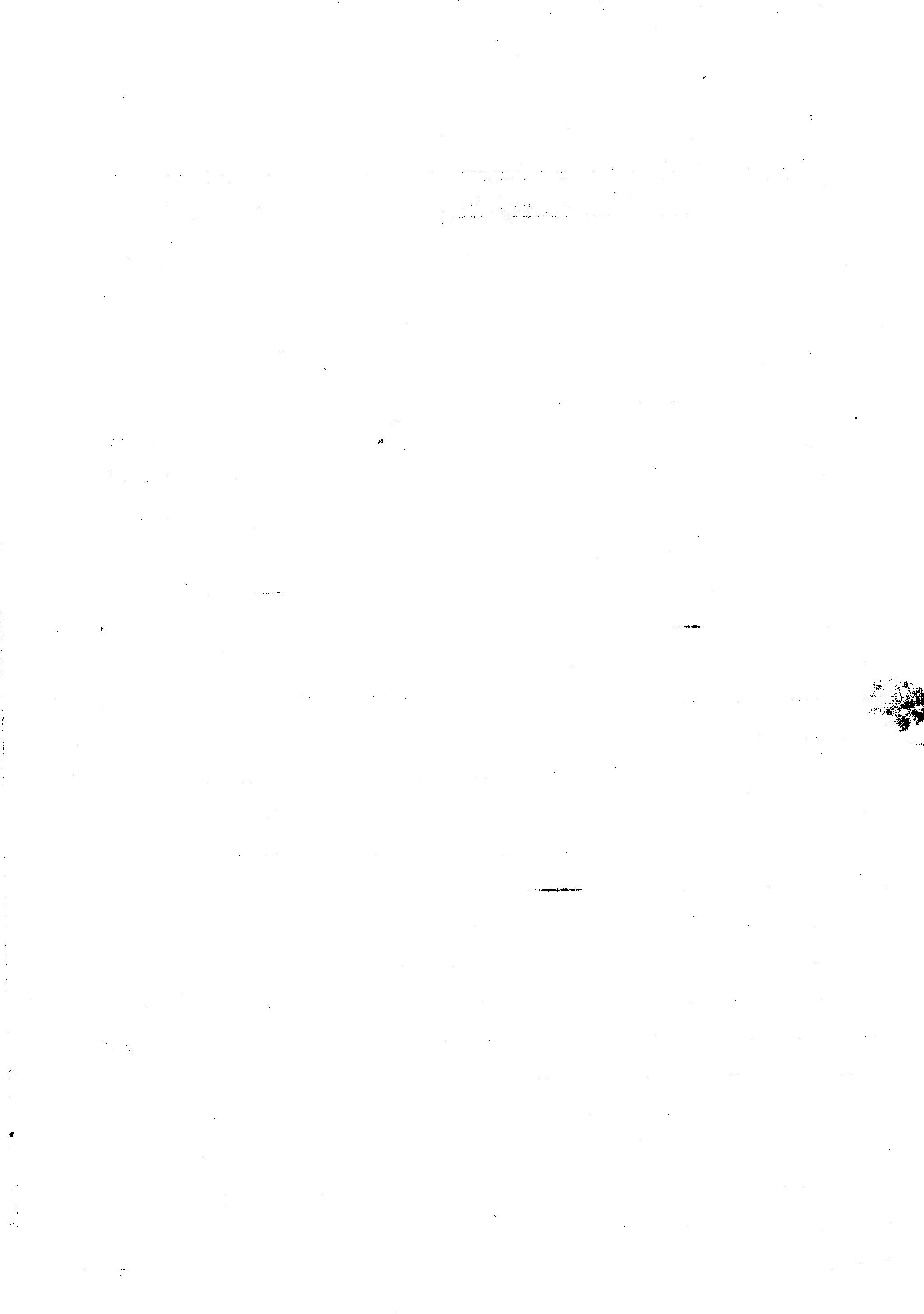11027.086- pag.4