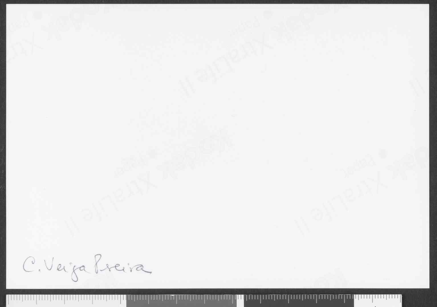 11130.001.001- pag.2