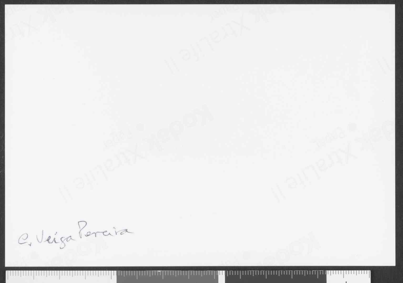 11130.001.001- pag.4