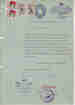 p. 11
