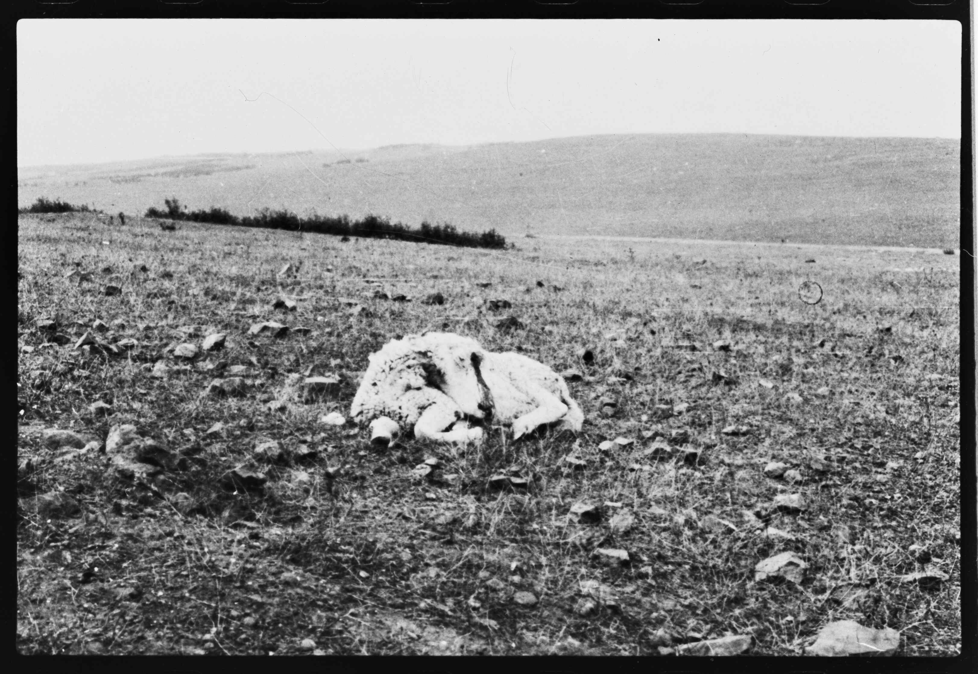 12277.053.008- pag.1