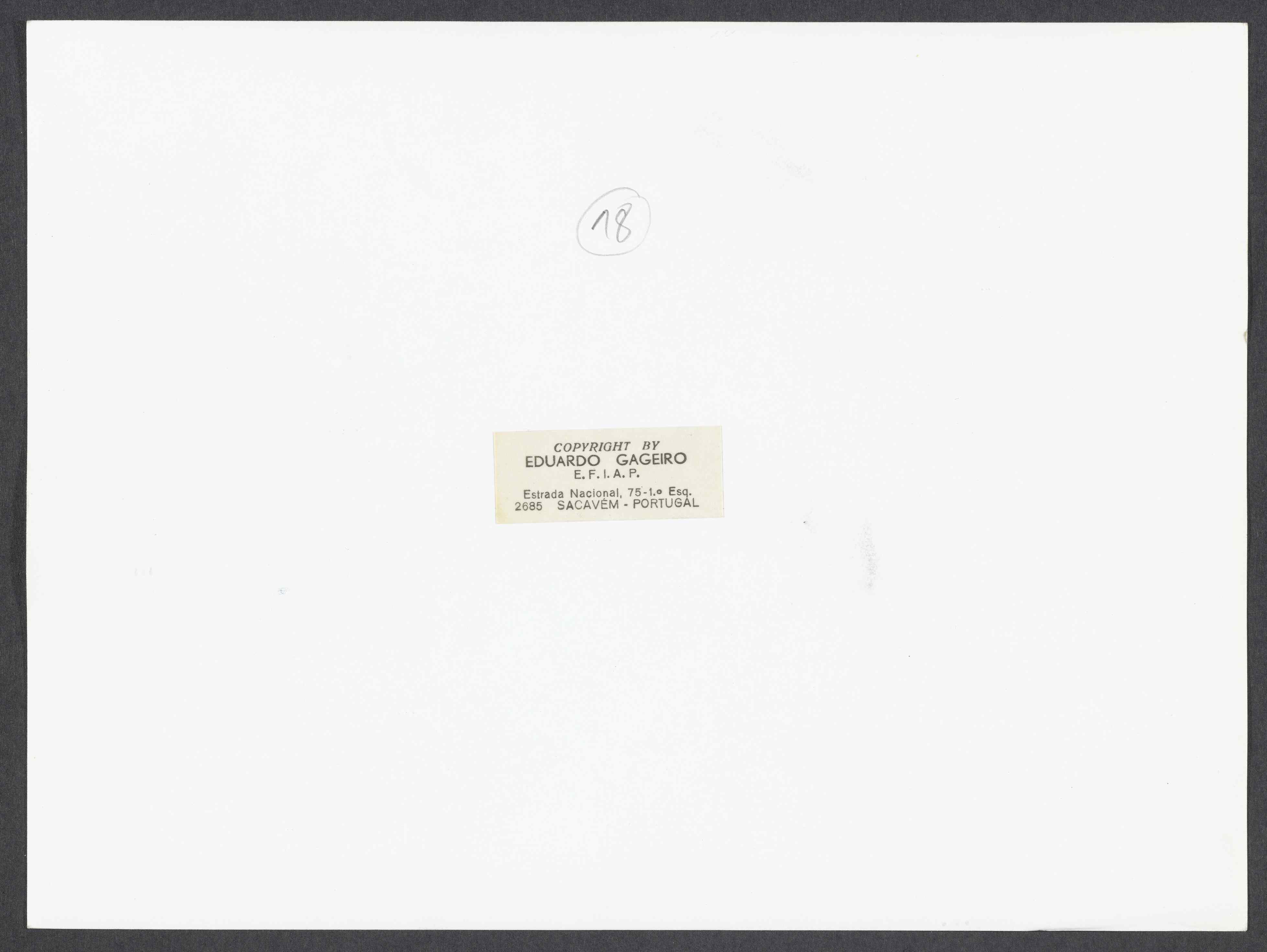 12385.020.001- pag.2